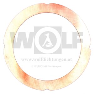 Zylinderkopfdichtung für Hatz | E 785 | 215