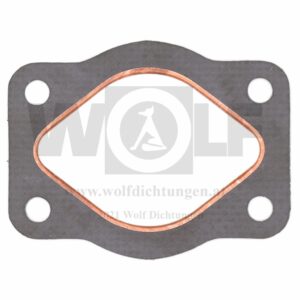Drosselklappendichtung für Fiat 6 Zylinder | 642 RN2 | 642 N2 | 642 N | 639 N2 | 639 N6
