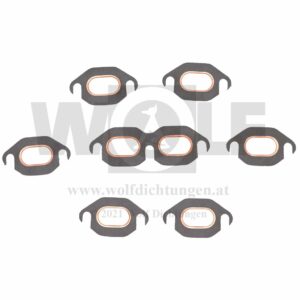 Auspuffdichtungen im Set für Mercedes | Nürburg 500