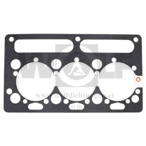 Zylinderkopfdichtung für Lindner | BF 350 | BF 450