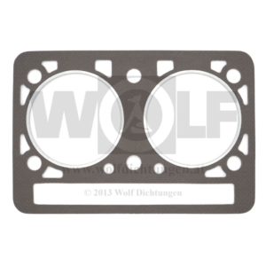 Zylinderkopfdichtung für Schlüter | DS 25 | ED 25