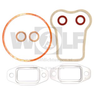 Zylinder-Reparatur-Dichtsatz pro Zylinder für MWM | AKD 210,5 D