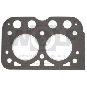 Zylinderkopfdichtung für Güldner | 2 D 10