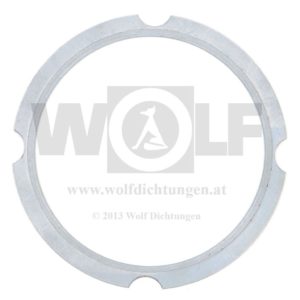 Zylinderkopfdichtung für Güldner | LK