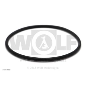 Zylinderlaufbüchsen-Ringdichtung für Güldner | ALD | Multitrac | A 2 DL Tessin | 2 LD