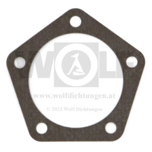 Zylinderkopfdichtung für Ilo | Agria 3300 | 125 ZL