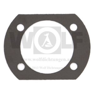 Zylinderkopfdichtung für Agria | 2300