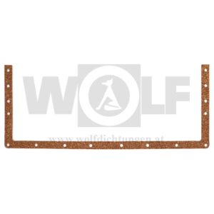 Motorseitendeckeldichtung für BMW 6 Zylinder | 501