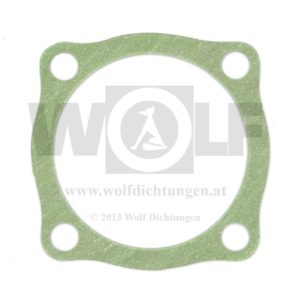 Ölspaltfilterdichtung für MAN | 0524