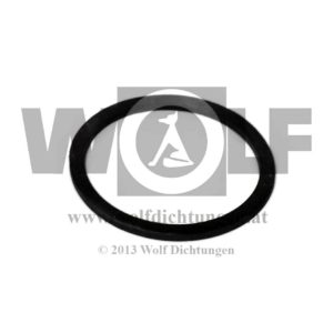 Benzinhahndichtung für Steyr | PKW