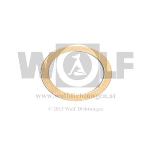 Nockenwellendichtung vorne für Steyr - 6 Zylinder | PKW | Steyr XXX | 30 | 120 Super | 125 | 220