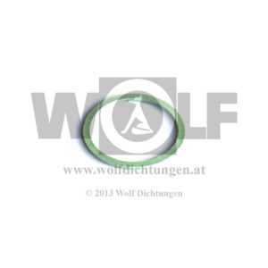 Hauptbremszylinderdichtung für Steyr | PKW