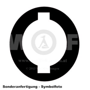 Ringdichtung mit Nase für Abarth | 850 OD