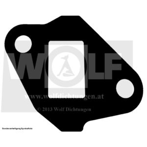 Benzinpumpendichtung für Ferrari | 166