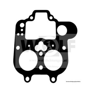 Vergaserdichtung für Ferrari | 166