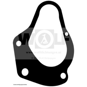 Verteilerdichtung für Ferrari | 166