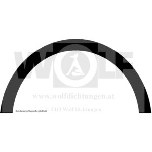 Segmentdichtung für Ferrari | 166