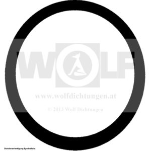 Ringdichtung für Ferrari | 166