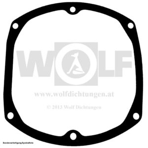 Wasserdichtung für Fantic Motor | Raider