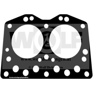 Zylinderkopfdichtung für Iseki | TS 19