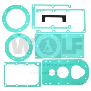 Getriebedichtsatz für ZF Getriebe | A 205