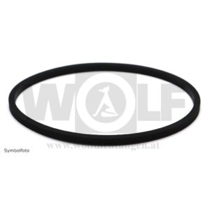 Zylinderlaufbüchsen-Ringdichtung für John Deere | 200