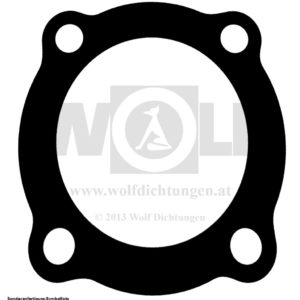 Dichtung für Agria | 2100