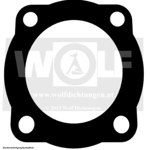 Zylinderkopfdichtung für Agria | 2100