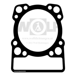 Zylinderkopfdichtung für Andoria