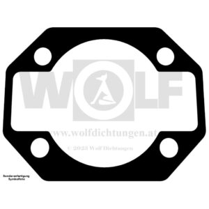 Zylinderfußdichtung für Agria