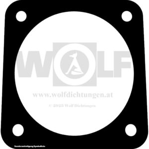 Drossekappendichtung für Audi | Sport Quattro