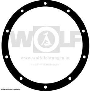 Differential-Deckeldichtung für Avis | Type 3