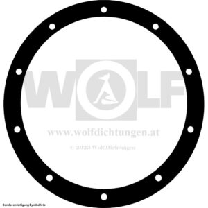 Differentialdichtung - Kardanrohr für Avis | Type 3