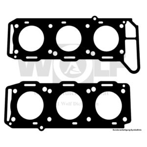 Zylinderkopfdichtungen im Set für Alfa Romeo | Busso