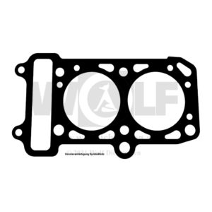Zylinderkopfdichtung für Asa | K 11