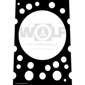 Zylinderkopfdichtung für Büssing | S 12 D