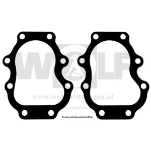 Zylinderkopfdichtungen im Set für BMW | R 11