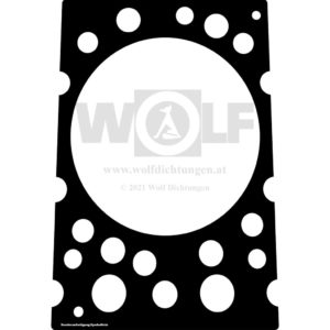 Zylinderkopfdichtung für Büssing | S 11 D | S 12 D