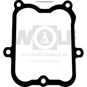 Ventildeckeldichtung für Büssing