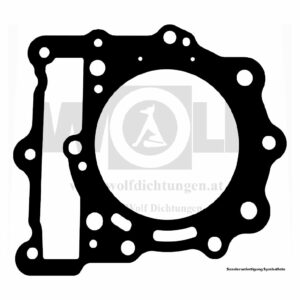 Zylinderkopfdichtung für BMW | G 650 X