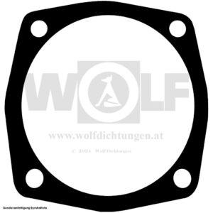 Deckel-Wellendichtung für BMW | 501