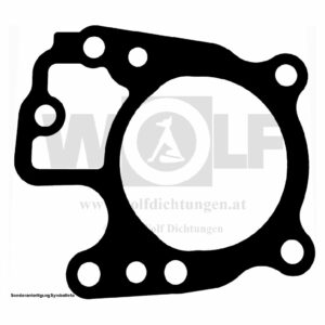 Zylinderkopfdichtung für Briggs & Stratton