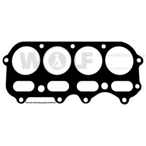 Zylinderfussdichtung für BMW | 309