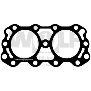 Zylinderkopfdichtung für BUKH | Super | 302