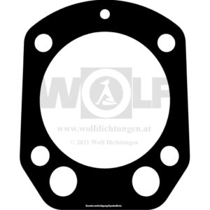 Zylinderkopfdichtung für BMW | R 50