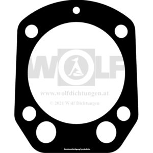 Zylinderkopfdichtung für BMW | R 50