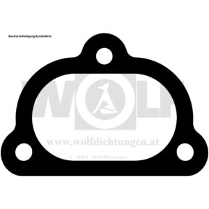 Auspuffdichtung für BMW | E 30 | M 3 | S 14