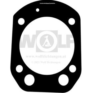 Zylinderkopfdichtung für BMW | R 60