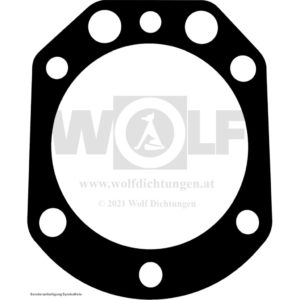 Zylinderkopfdichtung für BMW | R 100