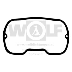 Ventildeckeldichtung für BMW | R 35